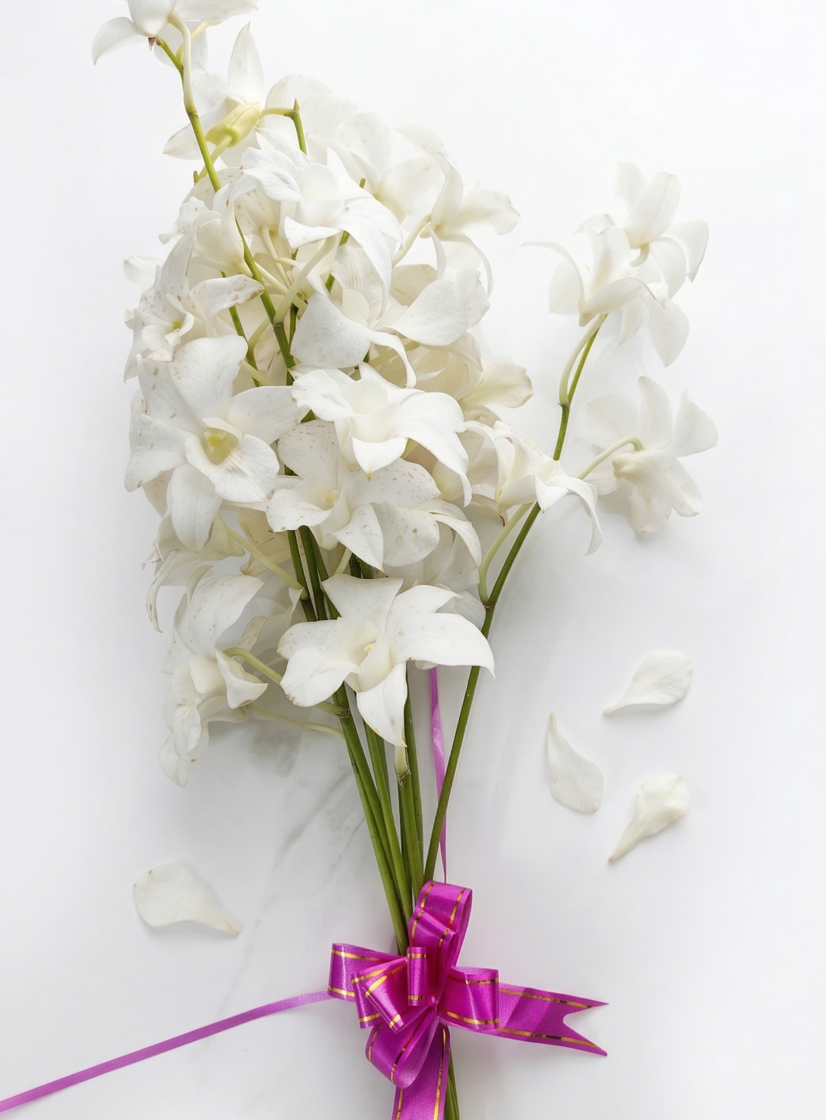 The Ivory Orchid Stems