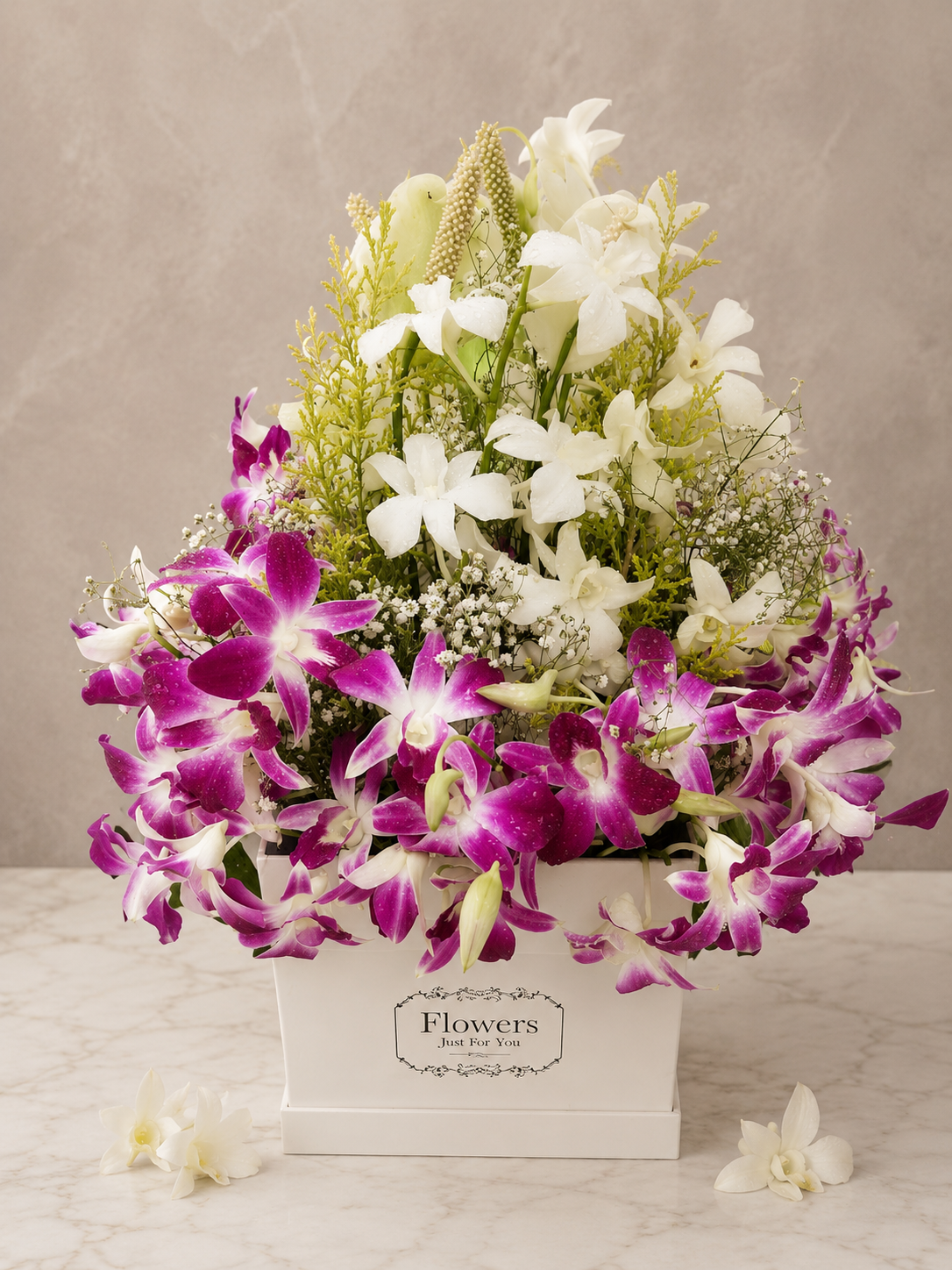 Orchid Majesty